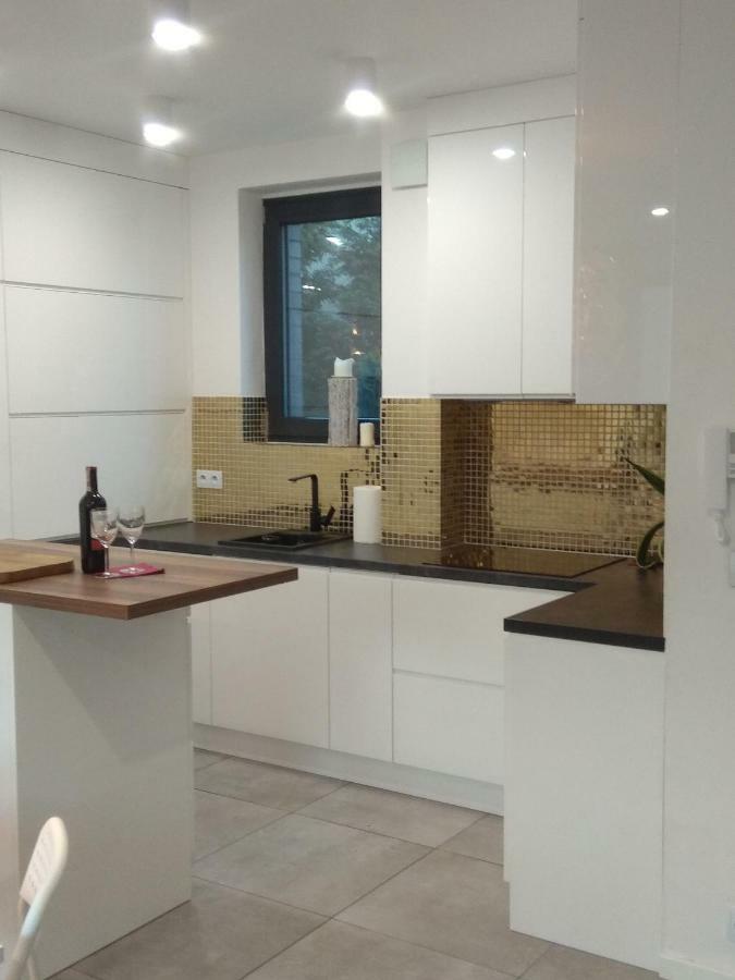 Luxury Apartment With Own Parking Chorzow Ngoại thất bức ảnh