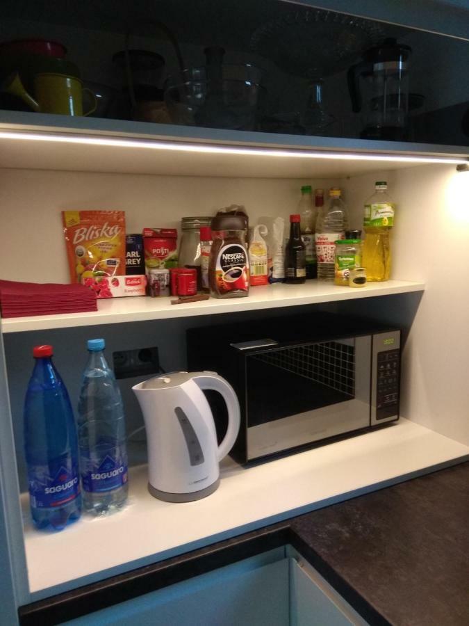 Luxury Apartment With Own Parking Chorzow Ngoại thất bức ảnh